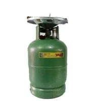 پیکنیک بزرگ