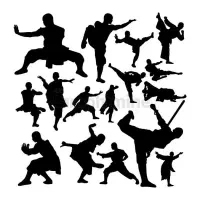 دفاع شخصی و مبارزات ازاد
