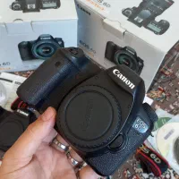 دو عدد دوربین کانن ۶ دی مارک ۱ - Canon 6d