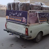 ست شاهنشین|پشتی|یزد, |دیوار