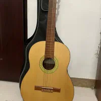 گیتار بنبرگ benberg  مدل BG-491|گیتار، بیس، امپلیفایر|رشت, گلسار|دیوار