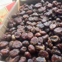 خرما ضایعات|خوردنی و آشامیدنی|خمینی‌شهر, |دیوار