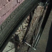 دوچرخه کورسی و تنه|دوچرخه، اسکیت، اسکوتر|شیراز, شهرک سراج‎|دیوار