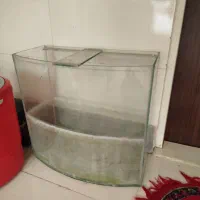 آکواریوم شیشه خم