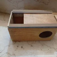 لانه کوتوله ومرغ عشق وعروس هلندی