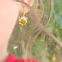 گوشواره