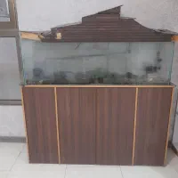 آکواریوم درحد