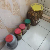 ترشی فلفل ترشی هفت بیدار ترشی لیته کیلو ۱۲۰ هزار