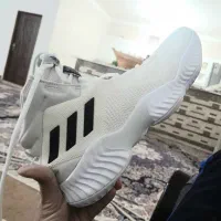 کفش والیبال اوریجنال ادیداس