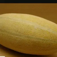 خربزه مشهدی درشت  بهترین بار منطقه|خوردنی و آشامیدنی|کبودرآهنگ, |دیوار