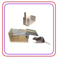 تله موش،چسب موش خوش قیمت