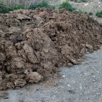 کود گوسفندی
