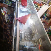 ویترین شیشه ایی 2متری|بوفه، ویترین، کنسول|مشهد, ترمینال|دیوار