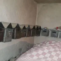 لونه فنچ|لوازم جانبی حیوانات|نیشابور, کوی حسینی|دیوار