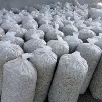 تفاله تر چغندر