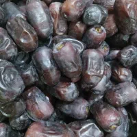 خرما فله روداب