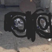 ناناز|حیوانات|نیشابور, ریوند|دیوار