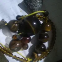 فروش مهره ببر