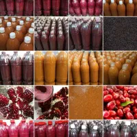 آبمیوه طبیعی آب زرشک آلبالوآب انارشاتوت آلوجنگلی