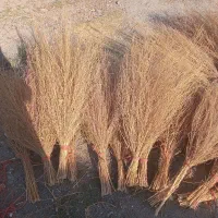 جارو کردی|جاروبرقی، جارو شارژی، بخارشو|کامیاران, |دیوار