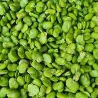 عمده وخورده باقالی سبز نخود فرنگی ذرت مخلوط|خوردنی و آشامیدنی|تهران, اختیاریه|دیوار
