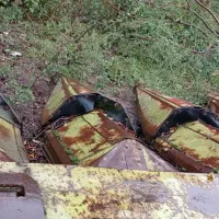 حد ذرت آلمانی