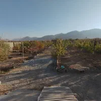 فروش باغ|فروش خانه و ویلا|دهاقان, |دیوار