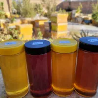 عسل (عمده)|عمده‌فروشی|تهران, سلسبیل شمالی|دیوار