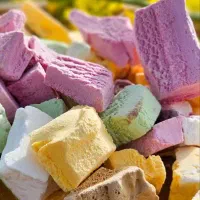 بستنی خشک فله فریزداریر