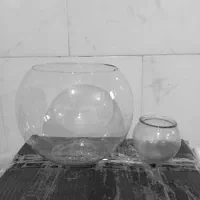 تنگ ماهی