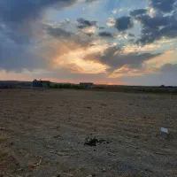 زمین با مجوز گلخانه|فروش دفتر صنعتی، کشاورزی، تجاری|تیران, |دیوار