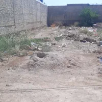فروش زمین طلا ۳۱۰ متری با کمترین قیمت در ام تمیر|فروش زمین و ملک کلنگی|اهواز, اسماعیلیه|دیوار