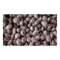 فروش فوق العاده حبوبات