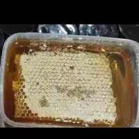 عسل طبیعی. خرید مستقیم از زنبوردار بدون واسطه