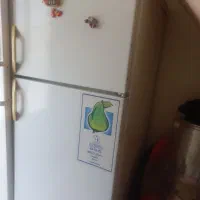 یخچال دو در فیلور