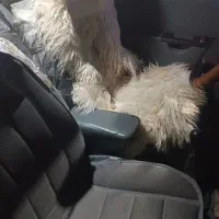 پراید دوگانه  مدل 88|خودرو سواری و وانت|ایرانشهر, |دیوار