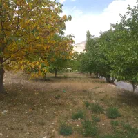 ۱۰۰۰ متر باغ دارای سند برِ جاده اصلی تنگه واشی|فروش زمین و ملک کلنگی|فیروزکوه, |دیوار