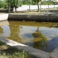 واقع در خسروشاه منطقه بالمان باشی|فروش زمین و ملک کلنگی|خسروشاه, |دیوار