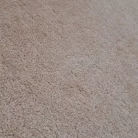 پالاز موکت|موکت|تبریز, |دیوار