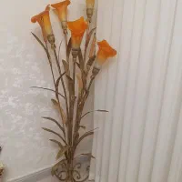 آباژور کاملا سالم ، ۵شاخه