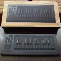 میدی کیبورد Roli Seaboard Rise 25