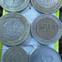 کلکسیون|کلکسیون سکه، تمبر، اسکناس|رشت, جانبازان|دیوار