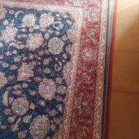 فرش ۶متری|فرش|کرج, کوی کارمندان جنوبی|دیوار