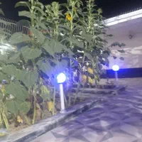 خونه باغ|فروش خانه و ویلا|پیر بکران, |دیوار