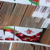 کارتن و جعبه تیسا پک|عمده‌فروشی|کرج, باغستان|دیوار