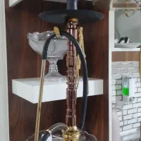 قلیان وولف کاملا سالم بدون رنگ پریدگی