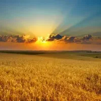 ۲۰ کیسه زمین کشاورزی در بالای کوه سیاه روستای ندری