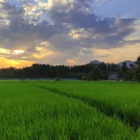 اجاره روزانه منزل