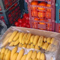 حراج انواع میوه