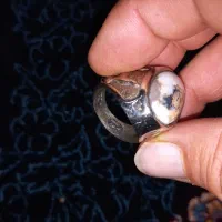 انگشتر قدیمی شجر زنده